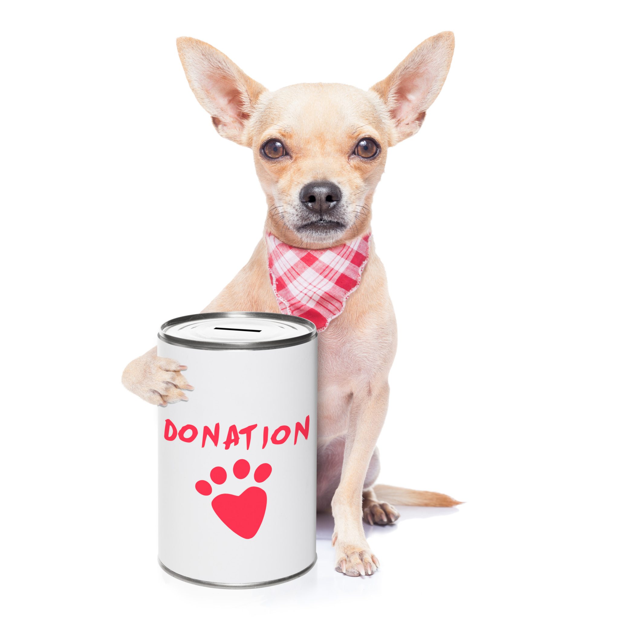 Donate Now Animal Food Bank