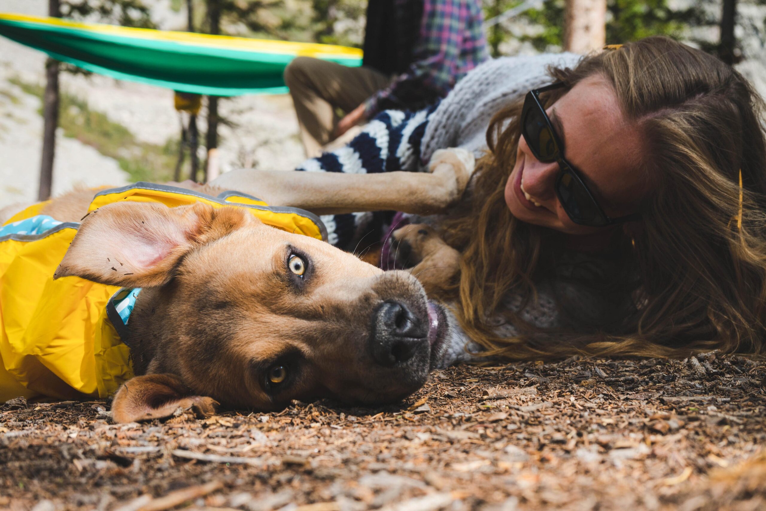 pets to social services